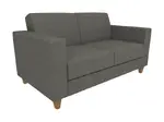 Modern Loveseat