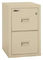 2 Drawer Fireproof File Cabinet - Legal & Letter Size