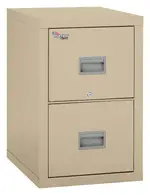 2 Drawer Fireproof File Cabinet - Legal & Letter Size