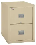 2 Drawer Fireproof File Cabinet - Legal Size