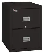 2 Drawer Fireproof File Cabinet - Letter Size