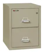 2 Drawer Fireproof File Cabinet - Letter Size