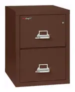 2 Drawer Fireproof File Cabinet - Letter Size