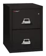 2 Drawer Fireproof File Cabinet - Letter Size