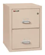 2 Drawer Fireproof File Cabinet - Letter Size