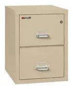 2 Drawer Fireproof File Cabinet - Letter Size