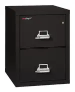 2 Drawer Fireproof File Cabinet - Legal Size