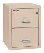 2 Drawer Fireproof File Cabinet - Legal Size