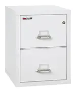 2 Drawer Fireproof File Cabinet - Legal Size