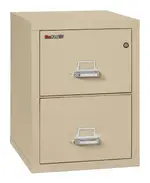 2 Drawer Fireproof File Cabinet - Legal Size