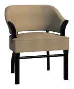 Upholstered Dining Chair