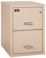 2 Drawer Fireproof File Cabinet - Letter Size