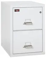 2 Drawer Fireproof File Cabinet - Letter Size