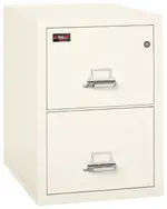 2 Drawer Fireproof File Cabinet - Letter Size