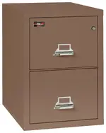 2 Drawer Fireproof File Cabinet - Letter Size