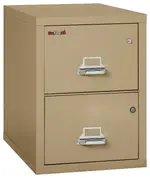 2 Drawer Fireproof File Cabinet with Hidden Safe