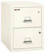 2 Drawer Fireproof File Cabinet with Hidden Safe