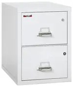 2 Drawer Fireproof File Cabinet with Hidden Safe