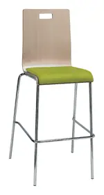 Bar Stool with Back