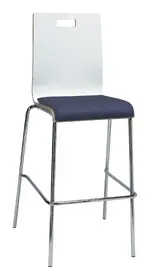 Bar Stool with Back