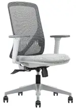 Ergonomic Task Chair