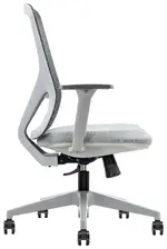 Ergonomic Task Chair