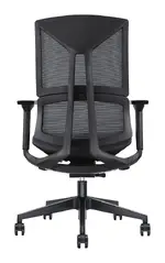 Office Chair with Lumbar Support