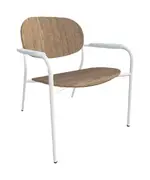 Chair with Arms