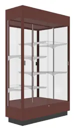 Vertical Display Case with LED Lighting - 48