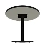 Round Table - 30