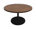 Round Table - 42