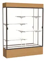 Display Case with LED Lighting - 60