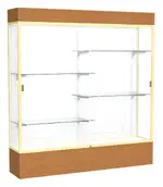 Large Display Case with Lighting - 72