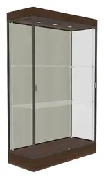 Trophy Display Case with LED Lighting - 48