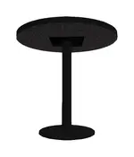 Round Table - 30