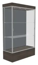 Lighted Display Case with 12