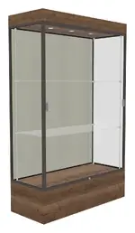 Lighted Display Case with 12