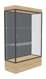 Lighted Display Case with 12