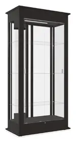 Mirrored Display Case with LED Lighting - 36 x 77