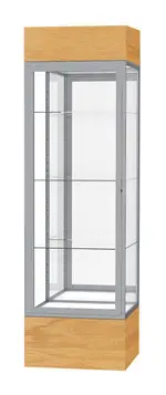 Museum Display Case with LED Lights - 24