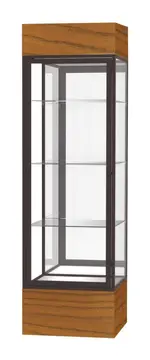 Museum Display Case with LED Lights - 24