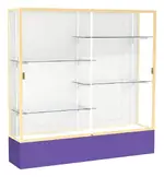 Large Glass Display Case - 72