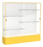 Large Glass Display Case - 72