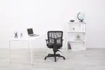 Mesh Back Task Chair with Arms