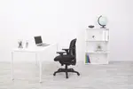 Mesh Back Task Chair with Arms