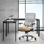 Ergonomic Task Chair with Lumbar Support