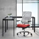 Ergonomic Task Chair with Lumbar Support