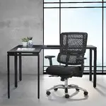 Mesh Task Chair with Lumbar Support