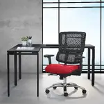 Mesh Task Chair with Lumbar Support