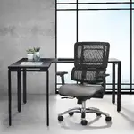 Ergonomic Office Chair with Lumbar Support